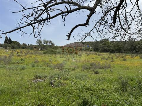 Terreno Misto em Moncarapacho