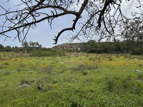 Terreno Misto em Moncarapacho