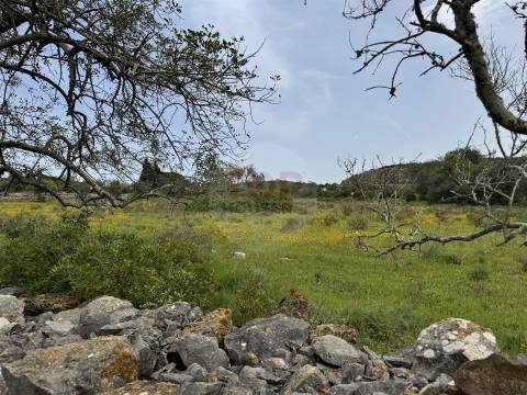 Terreno Misto em Moncarapacho