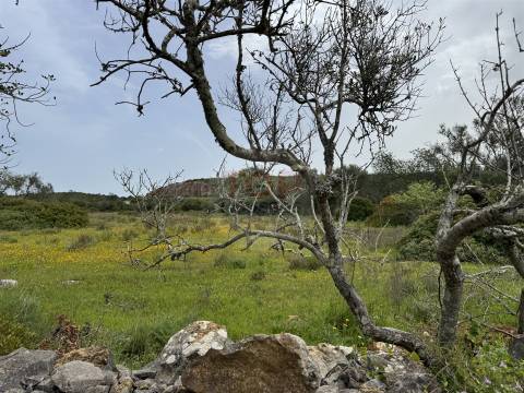 Terreno Misto em Moncarapacho