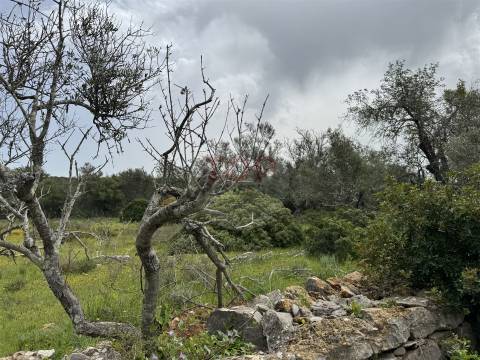 Terreno Misto em Moncarapacho