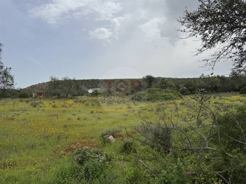 Terreno Misto em Moncarapacho