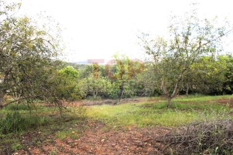 Terreno  localizado na freguesia de  Boliqueime.