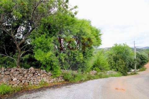 Terreno  localizado na freguesia de  Boliqueime.