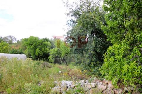 Terreno  localizado na freguesia de  Boliqueime.