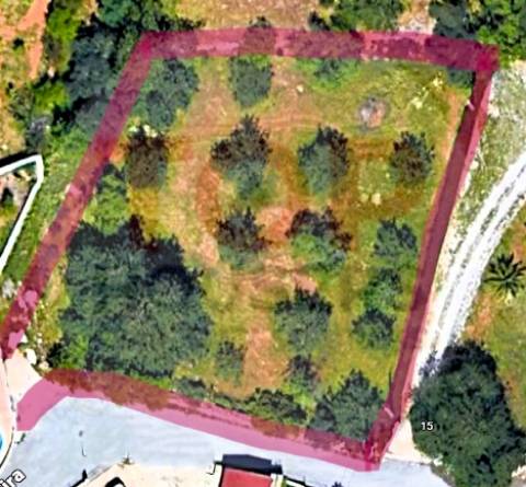 Terreno  localizado na freguesia de  Boliqueime.