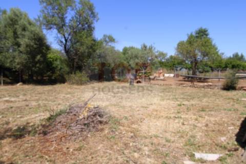 Moradia para reconstrução