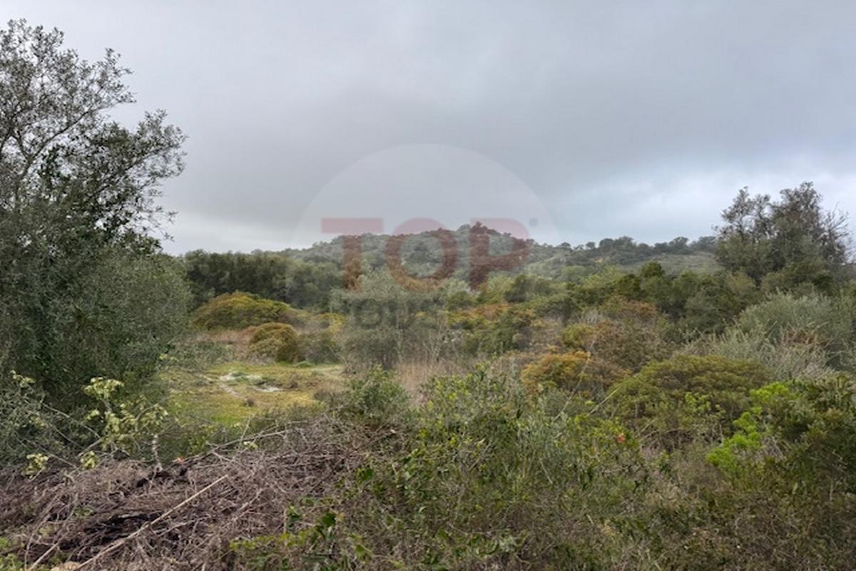 Terreno Rustico em Estoi