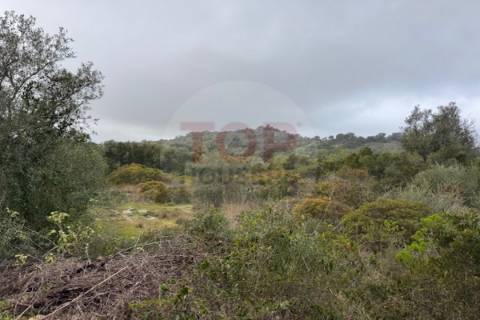 Terreno Rustico em Estoi