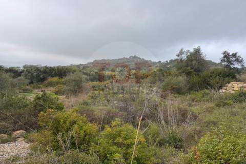 Terreno Rustico em Estoi