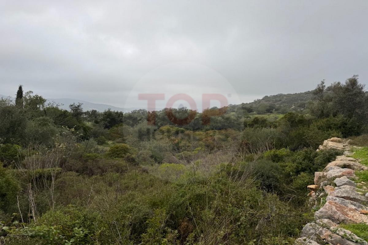 Terreno Rustico em Estoi