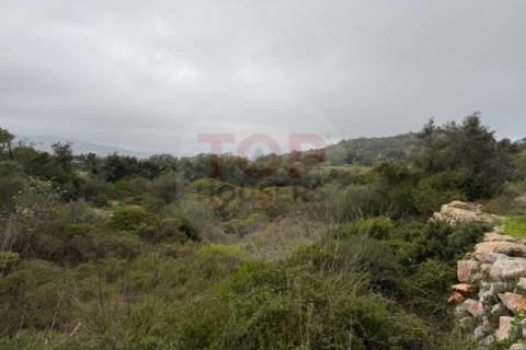 Terreno Rustico em Estoi