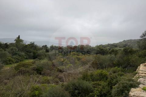 Terreno Rustico em Estoi