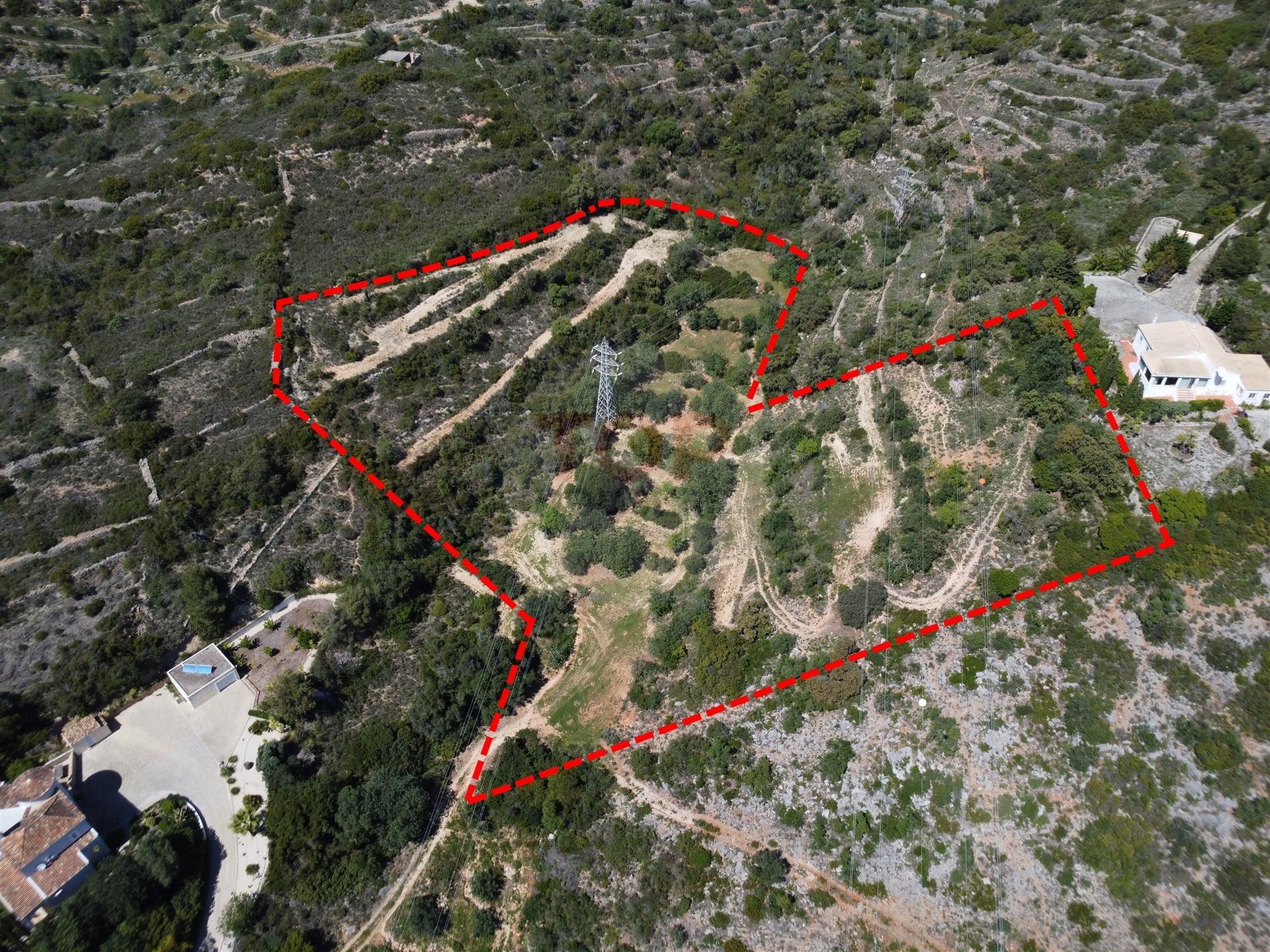 Excelente Oportunidade no Algarve – Terreno Rústico em Estoi