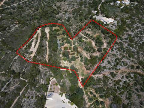 Excelente Oportunidade no Algarve – Terreno Rústico em Estoi