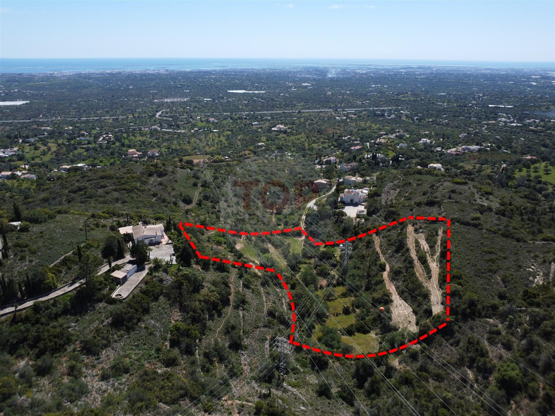 Excelente Oportunidade no Algarve – Terreno Rústico em Estoi