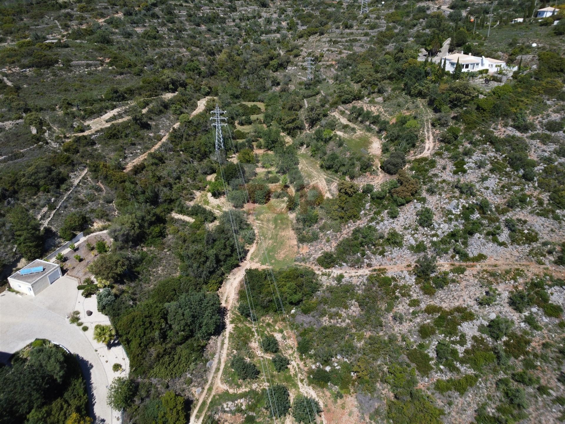 Excelente Oportunidade no Algarve – Terreno Rústico em Estoi