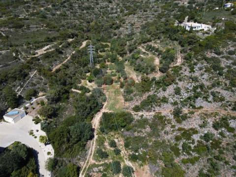 Excelente Oportunidade no Algarve – Terreno Rústico em Estoi