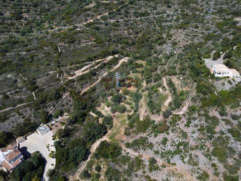 Excelente Oportunidade no Algarve – Terreno Rústico em Estoi