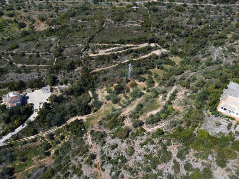 Excelente Oportunidade no Algarve – Terreno Rústico em Estoi