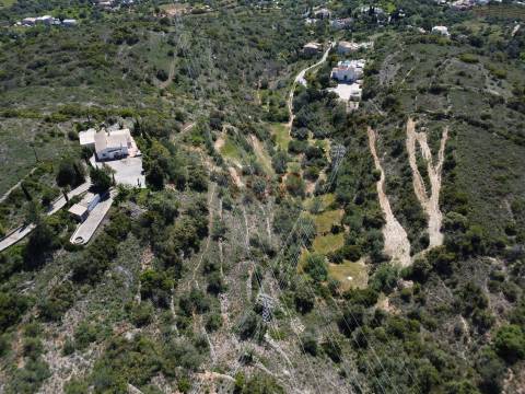 Excelente Oportunidade no Algarve – Terreno Rústico em Estoi