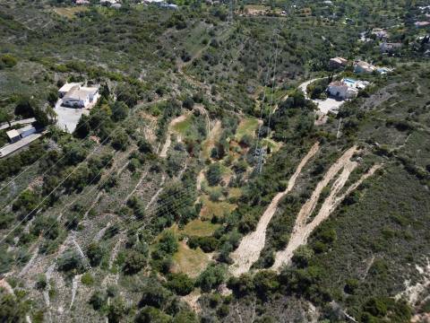 Excelente Oportunidade no Algarve – Terreno Rústico em Estoi