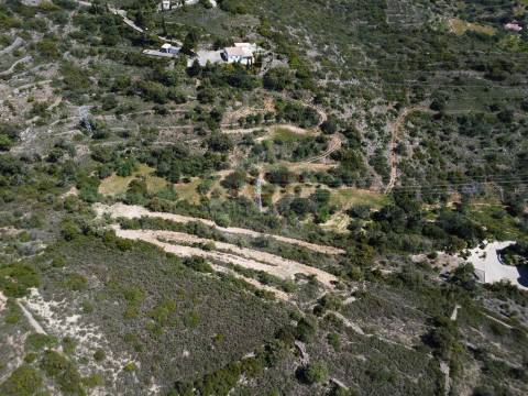 Excelente Oportunidade no Algarve – Terreno Rústico em Estoi