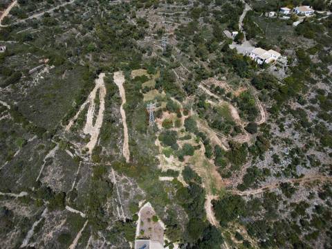 Excelente Oportunidade no Algarve – Terreno Rústico em Estoi
