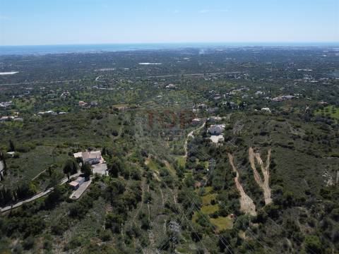Excelente Oportunidade no Algarve – Terreno Rústico em Estoi