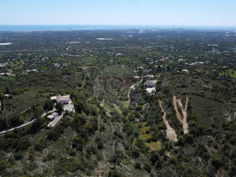 Excelente Oportunidade no Algarve – Terreno Rústico em Estoi