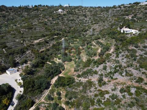Excelente Oportunidade no Algarve – Terreno Rústico em Estoi
