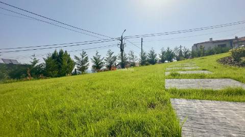 Moradia Isolada T3 Venda em Raiva, Pedorido e Paraíso,Castelo de Paiva