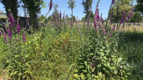 Terreno Para Construção  Venda em Pedroso e Seixezelo,Vila Nova de Gaia