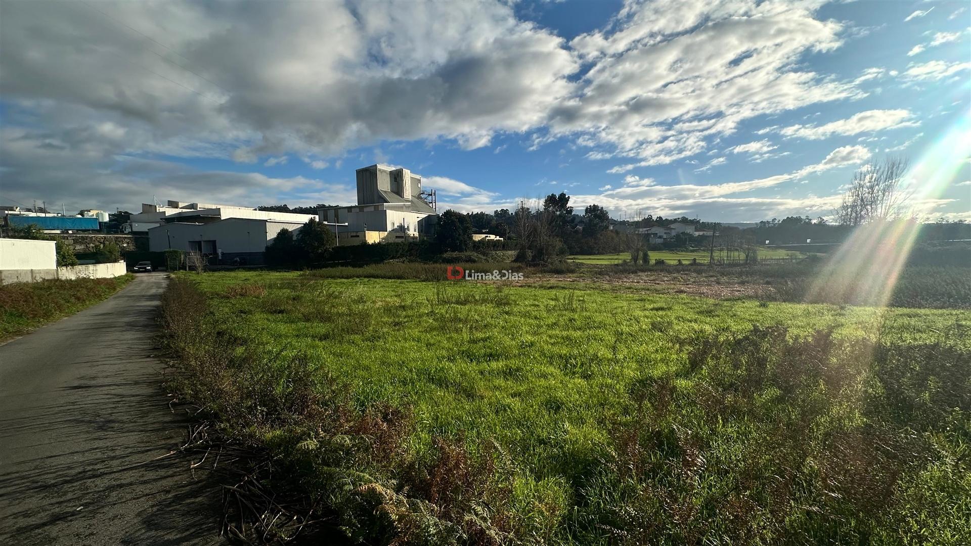 Terreno Rústico  Venda em Paredes,Paredes