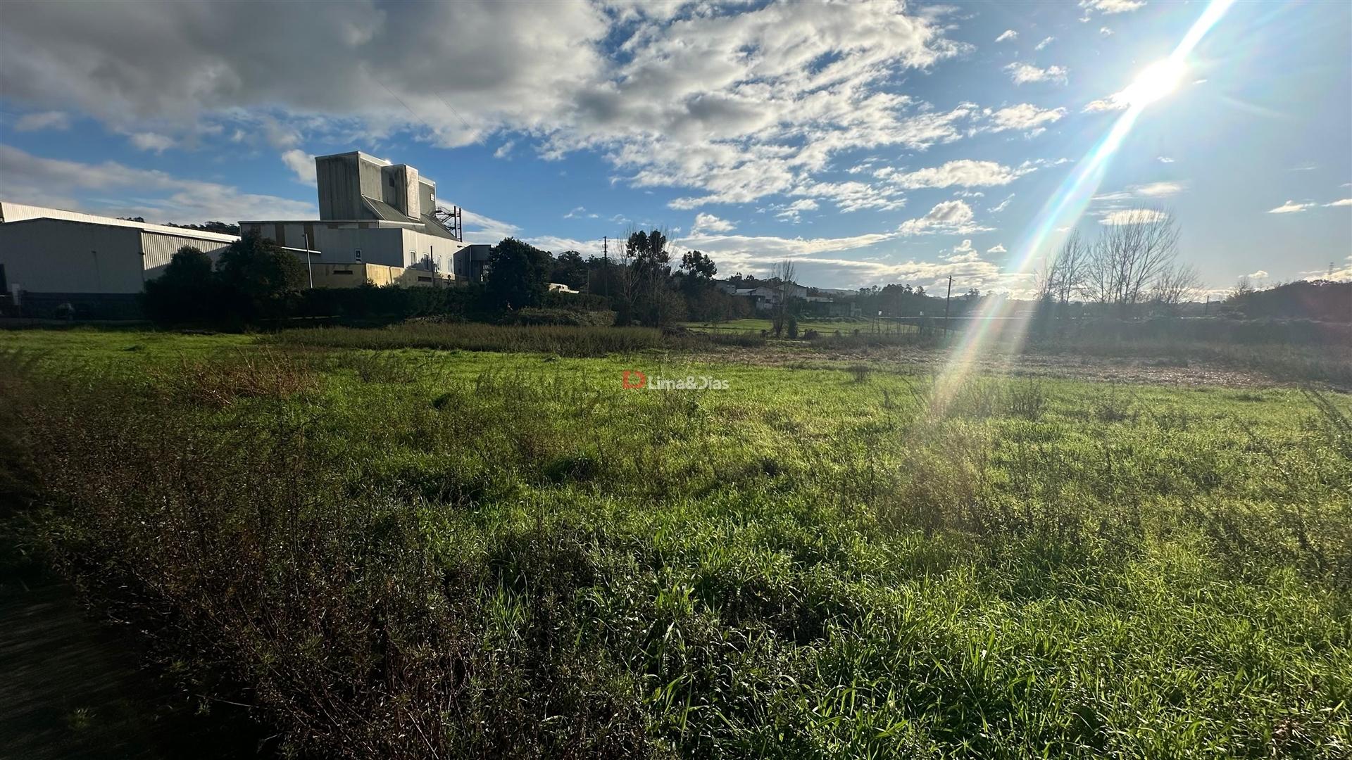Terreno Rústico  Venda em Paredes,Paredes
