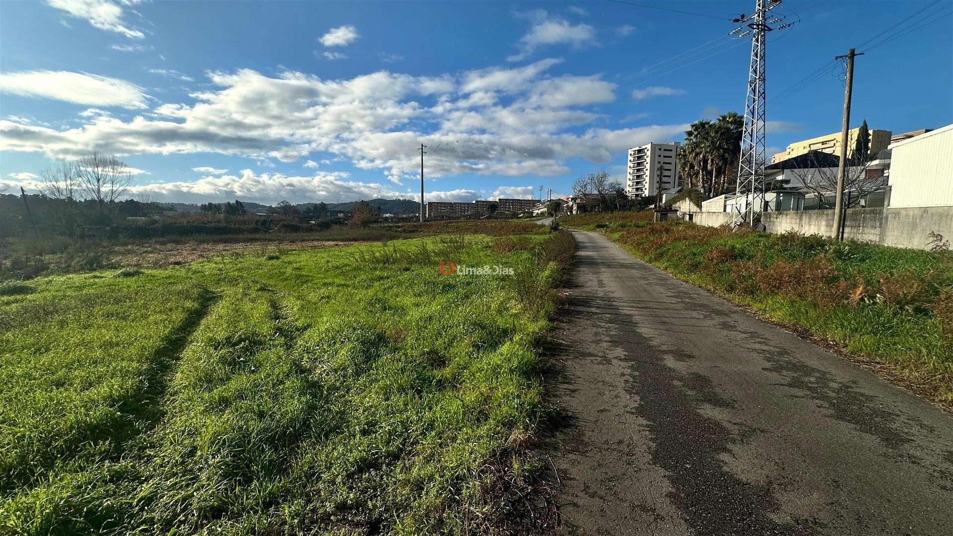 Terreno Rústico  Venda em Paredes,Paredes