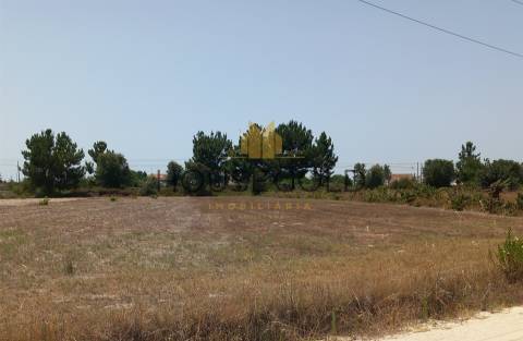 Moradia T3 Venda em Glória do Ribatejo e Granho,Salvaterra de Magos