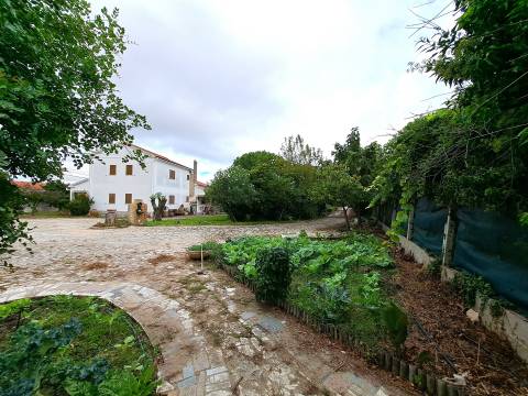 Quinta T4 em Marinhais (MR-233)