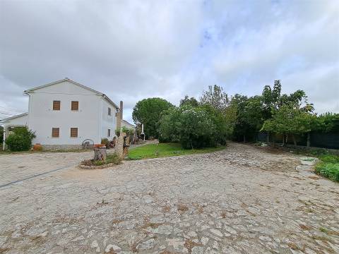 Quinta T4 em Marinhais (MR-233)