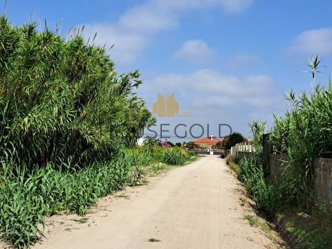 Terreno para construção (MR-266)