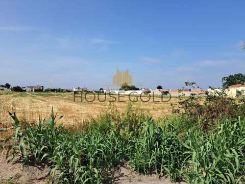 Terreno para construção (MR-266)