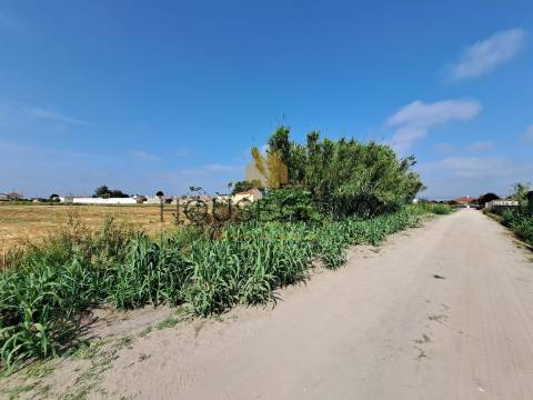 Terreno para construção (MR-266)