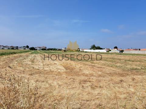 Terreno para construção (MR-266)