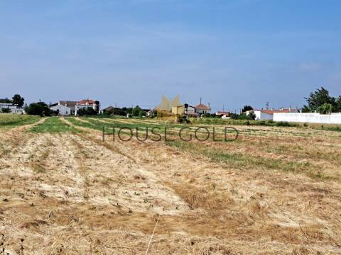 Terreno para construção (MR-266)