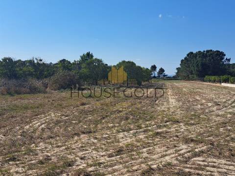 Terreno Rústico  Venda em Marinhais,Salvaterra de Magos