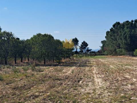 Terreno Rústico  Venda em Marinhais,Salvaterra de Magos