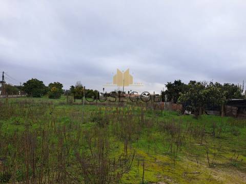 Moradia T3 Marinhais (MR-286)