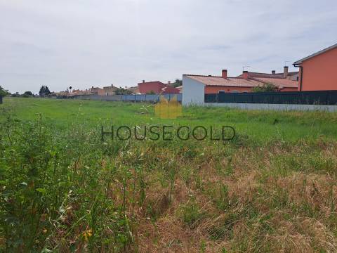 Terreno para Construção| Marinhais  (MR-306)