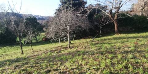 CPM20241 Moradia T2+1,  4 Frentes com + 900m2 em Avintes, Gaia,  próximo Parque Biológico Gaia