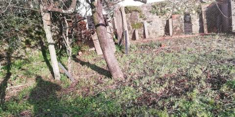 CPM20241 Moradia T2+1,  4 Frentes com + 900m2 em Avintes, Gaia,  próximo Parque Biológico Gaia